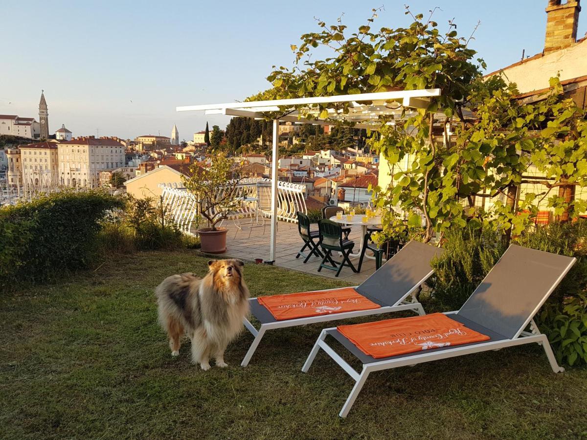 The Best View House Piran Exterior foto