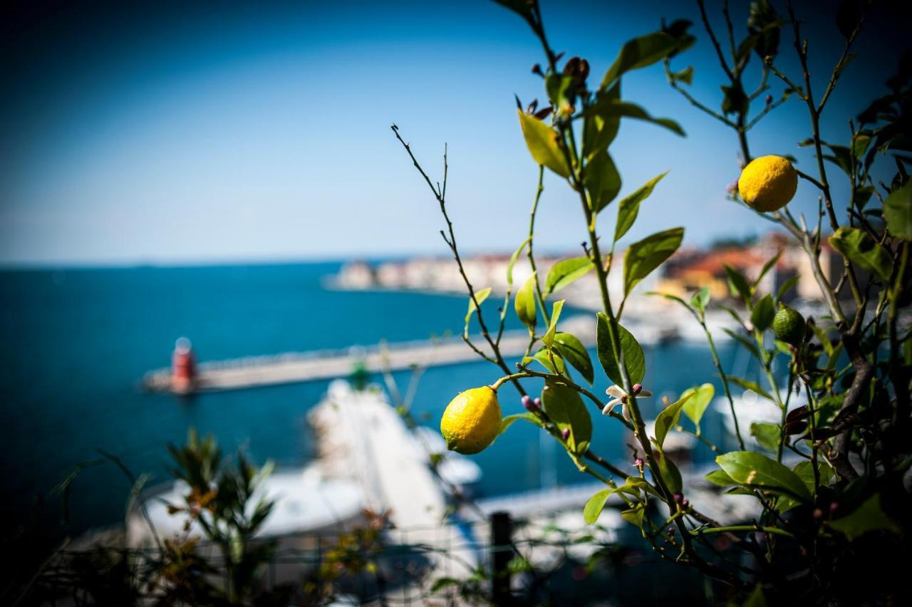 The Best View House Piran Exterior foto